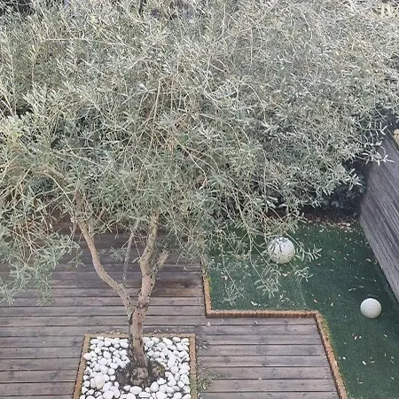 Prázdninový dům Maison A 100m - A Pied - 5 Pers Soulac-sur-Mer